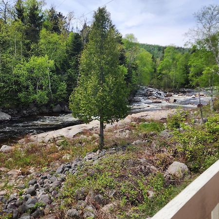 Motel Et Chalets Bo-Fleuve Evangeline Saint-Siméon Exteriör bild