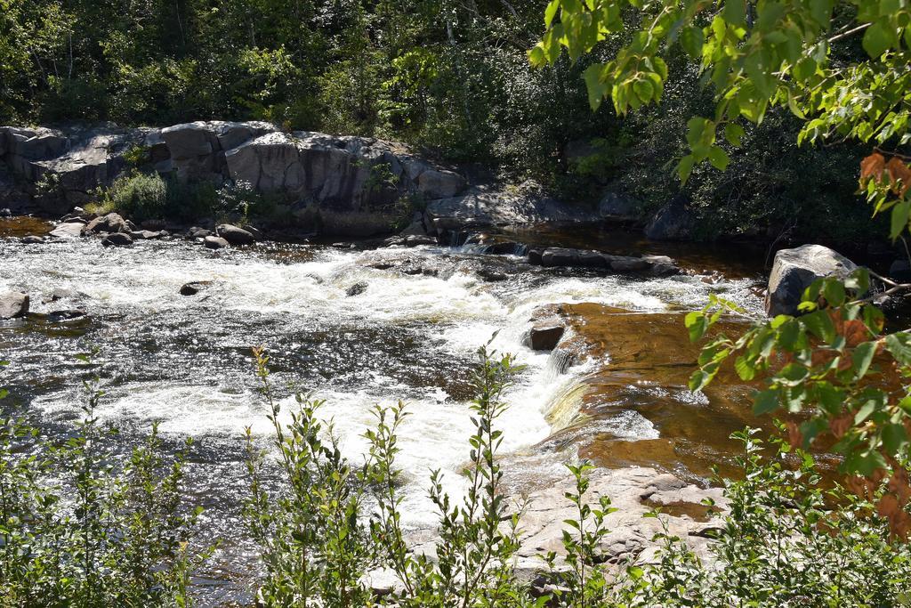 Motel Et Chalets Bo-Fleuve Evangeline Saint-Siméon Exteriör bild