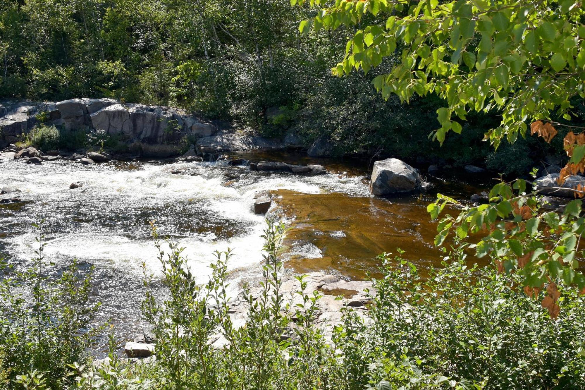 Motel Et Chalets Bo-Fleuve Evangeline Saint-Siméon Rum bild
