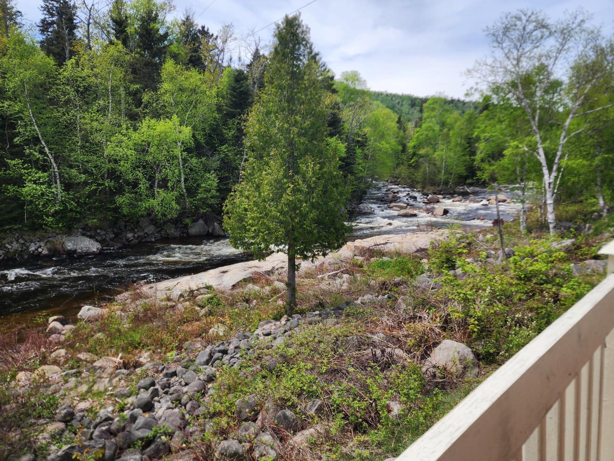 Motel Et Chalets Bo-Fleuve Evangeline Saint-Siméon Exteriör bild