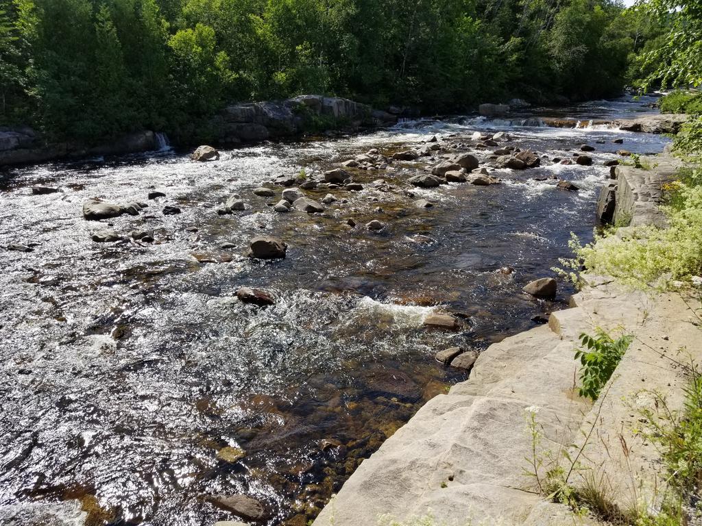 Motel Et Chalets Bo-Fleuve Evangeline Saint-Siméon Exteriör bild